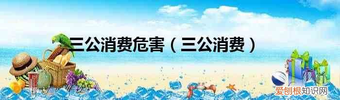 三公消费 三公消费危害