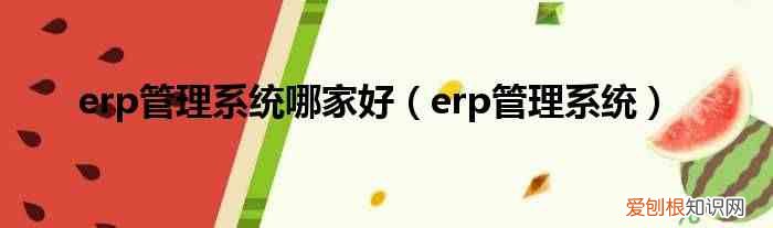 erp管理系统 erp管理系统哪家好