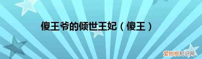 傻王 傻王爷的倾世王妃