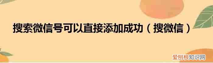 搜微信 搜索微信号可以直接添加成功