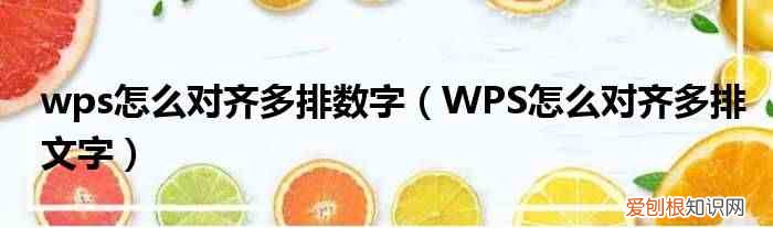 WPS怎么對(duì)齊多排文字 wps怎么對(duì)齊多排數(shù)字