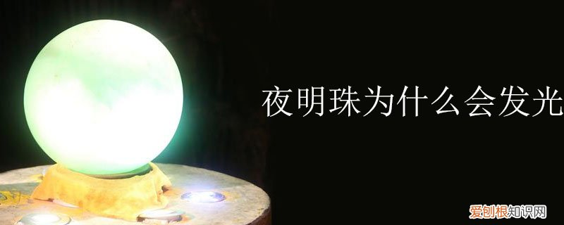 夜明珠为什么会发光