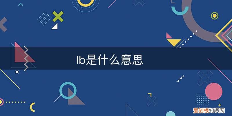 lb是什么意思