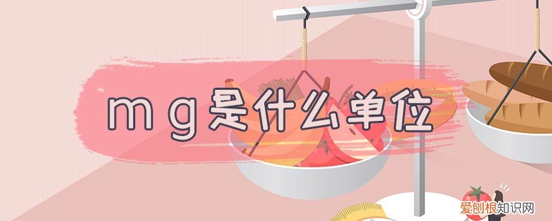 mg是什么单位