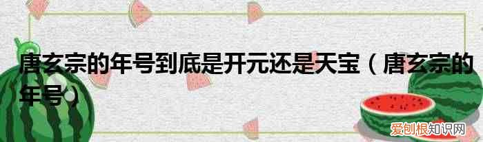 唐玄宗的年號(hào) 唐玄宗的年號(hào)到底是開元還是天寶