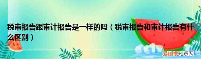 税审报告和审计报告有什么区别 税审报告跟审计报告是一样的吗