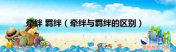 牵绊与羁绊的区别 牵绊 羁绊