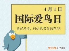 保护小鸟的宣传标语画，保护鸟的宣传标语有哪些