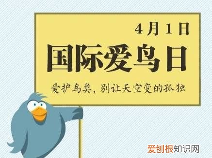保护小鸟的宣传标语画,保护鸟的宣传标语有哪些