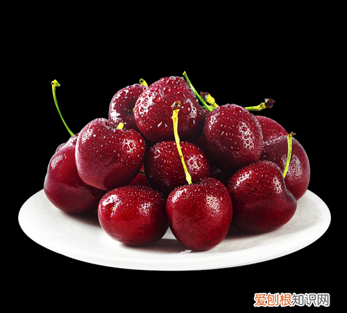 stella车厘子特点，2014年维多利亚的秘密歌曲