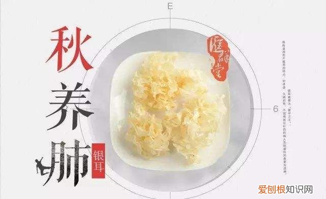 肺好身体棒--要想高效养生,该从何处人手呢