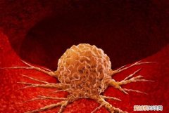 那些良性肿瘤对人有危害