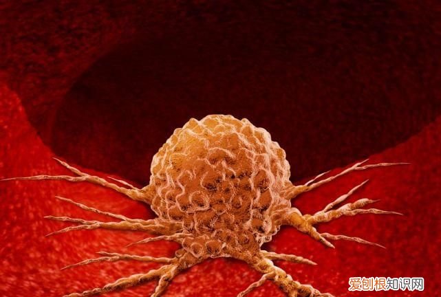 那些良性肿瘤对人有危害