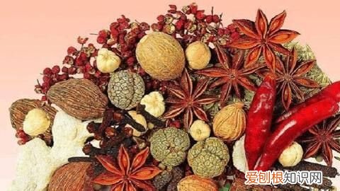 炖肉的香料有哪些，炖猪肉用几种大料最好