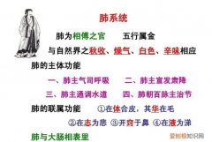 肺为相傅之官，通调身体从补开始