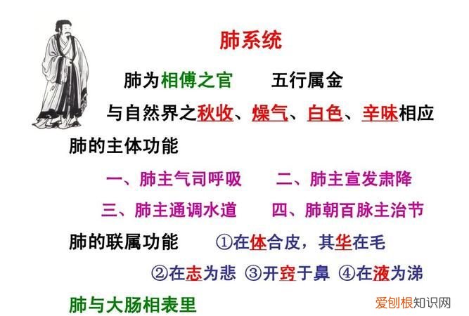 肺为相傅之官，通调身体从补开始