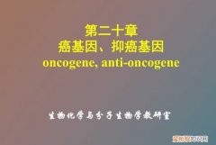 什么叫基因、癌基因和抑癌基因