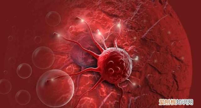 关于癌症的8个问题,关于癌症的四个真相需了解