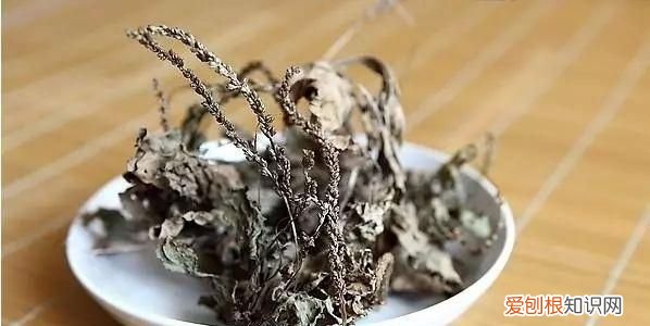 治疗痛风的中药泡茶喝