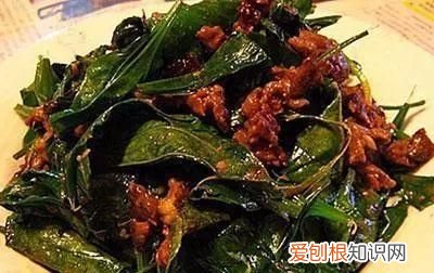 治疗痛风的中药泡茶喝