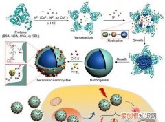 press反应器类型