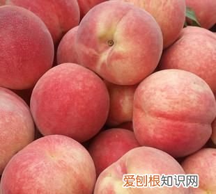 桃树怎么种植,桃子怎么种植方法