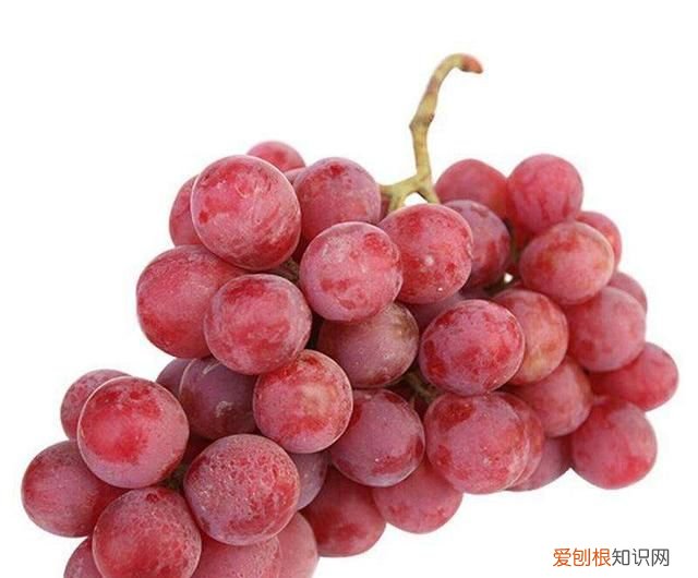 红提上火还是降火,红提吃多了上火吗