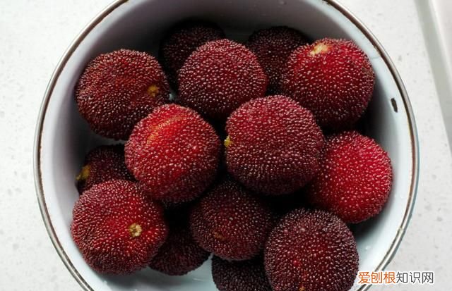 有虫的杨梅怎么洗才能吃，杨梅怎么洗才吃不到虫子