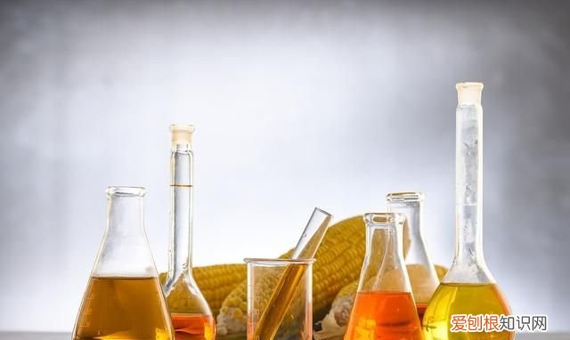 地沟油现象泛滥吗 地沟油到底都用到哪儿去了