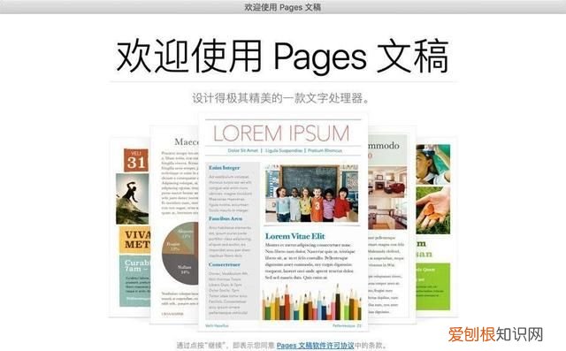 mac 文字处理软件,mac图文排版软件