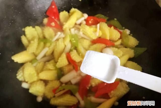 青椒和白玉菇能一块炒吗 白玉菇能和笋在一起炒吗