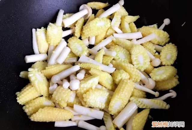 青椒和白玉菇能一块炒吗 白玉菇能和笋在一起炒吗