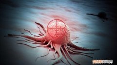 一个癌细胞的形成需要多久