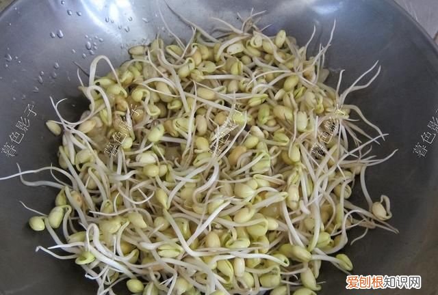 明天谷雨吃哪六种食物最好,今日谷雨吃什么最好