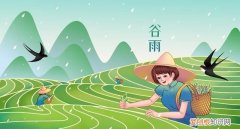 明天谷雨吃哪六种食物最好,今日谷雨吃什么最好