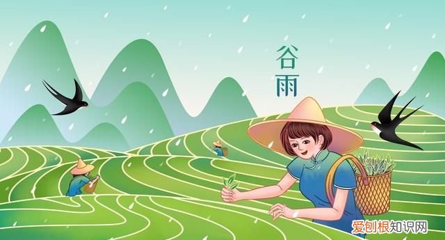 明天谷雨吃哪六种食物最好,今日谷雨吃什么最好