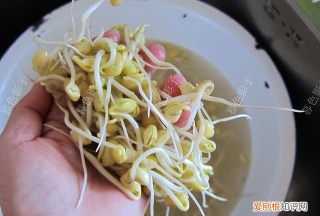 明天谷雨吃哪六种食物最好,今日谷雨吃什么最好