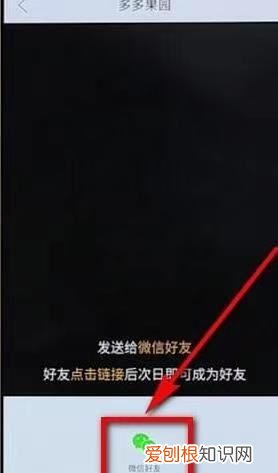 拼多多多多果園怎么加好友