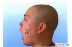 手太阳小肠经循行路线图讲解