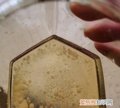 制作椰子油和椰蓉的 椰子油和椰蓉有啥区别