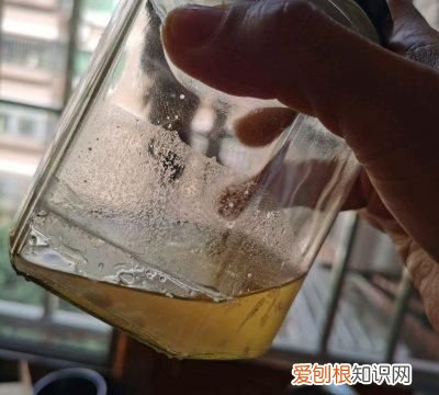 制作椰子油和椰蓉的 椰子油和椰蓉有啥区别