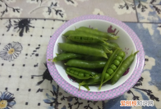 带壳豌豆水煮多久能熟，带皮豌豆怎么煮好吃又简单