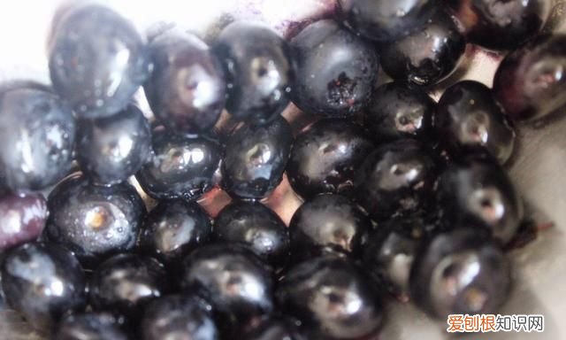 蓝莓吃不完可以拿来做什么