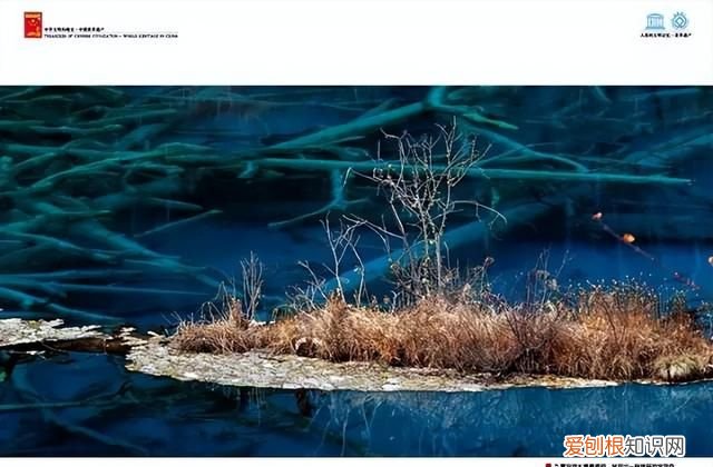 世界自然遗产九寨沟是人间仙境 世界遗产在中国之九寨沟风景名胜