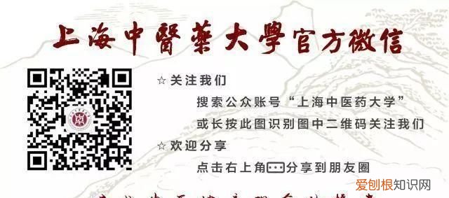 葵花子的功效,葵花籽的作用与功效