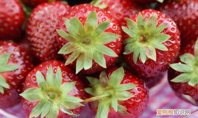 橙子维生素c十大排行 水果维生素c排名第一