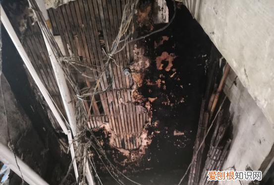 屋漏偏逢连夜雨下一句，屋漏偏逢连夜雨上一句是啥？