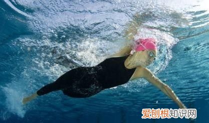 自由泳初学者的游泳技巧，自由泳初学者如何提高游泳水平