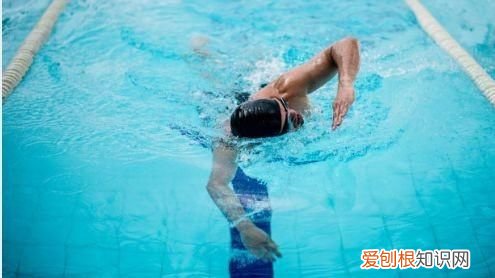 自由泳初学者的游泳技巧，自由泳初学者如何提高游泳水平
