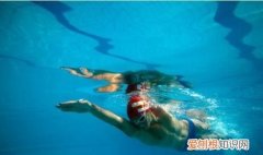 自由泳初学者的游泳技巧，自由泳初学者如何提高游泳水平